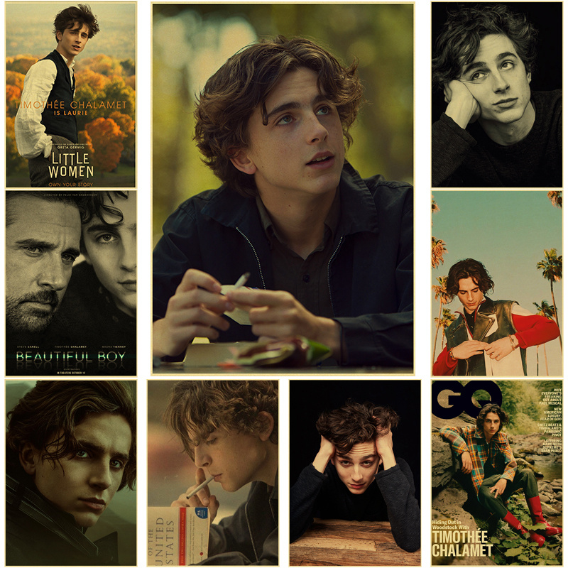 Timothee Chalamet rétro toile  - Home Bar And Theater avis et prix