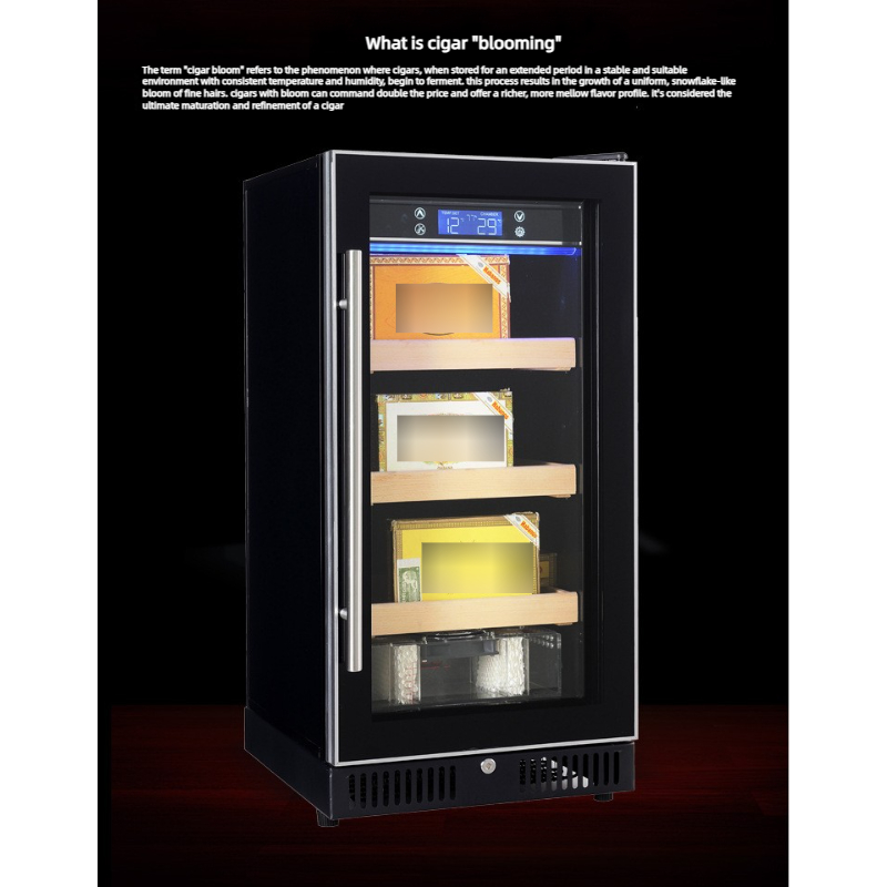 Humidor à cigares 150-300 plac - Home Bar And Cabinet avis et prix